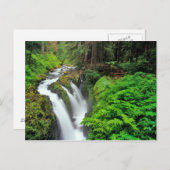 Sol Duc Falls in Olympic National Park Postkarte (Vorne/Hinten)