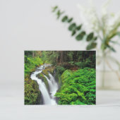 Sol Duc Falls in Olympic National Park Postkarte (Stehend Vorderseite)