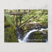 Sol Duc Falls, Olympic National Park Travel Postkarte (Vorderseite)