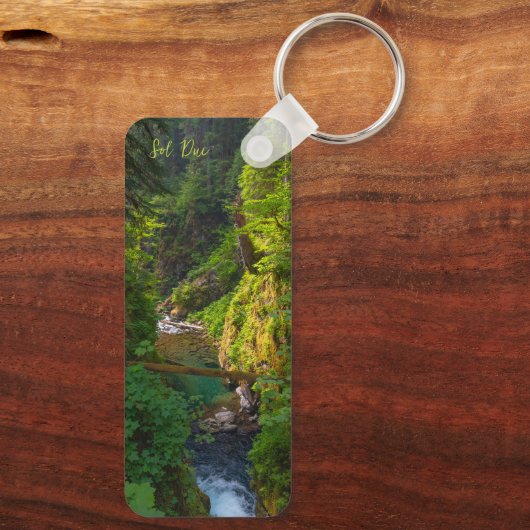 Sol Duc Falls Olympic National Park Washington Schlüsselanhänger (Rückseite)