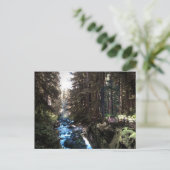 Sol Duc Falls — Olympic Pennisula Postkarte (Stehend Vorderseite)