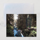 Sol Duc Falls — Olympic Pennisula Postkarte (Vorne/Hinten)
