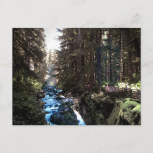 Sol Duc Falls — Olympic Pennisula Postkarte