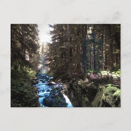 Sol Duc Falls — Olympic Pennisula Postkarte (Vorderseite)