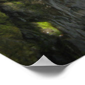 Sol Duc Falls Poster (Ecke)