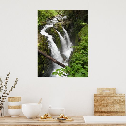 Sol Duc Falls Poster (Küche)