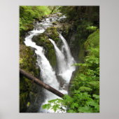 Sol Duc Falls Poster (Vorne)