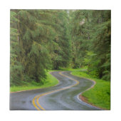 Sol Duc River Road durch Wald Fliese (Vorderseite)
