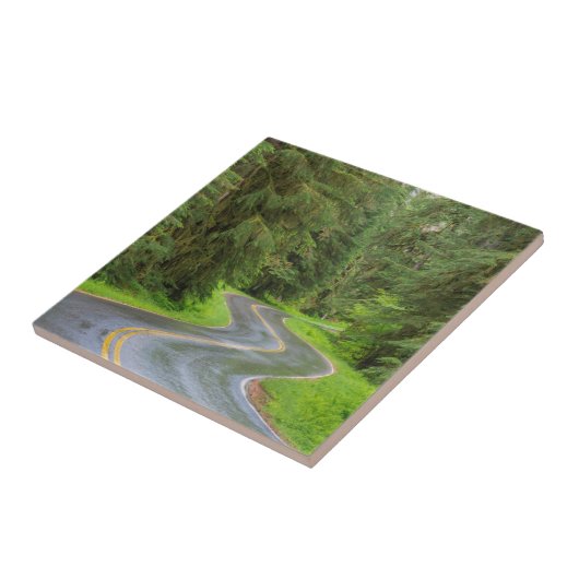 Sol Duc River Road durch Wald Fliese (Seite)