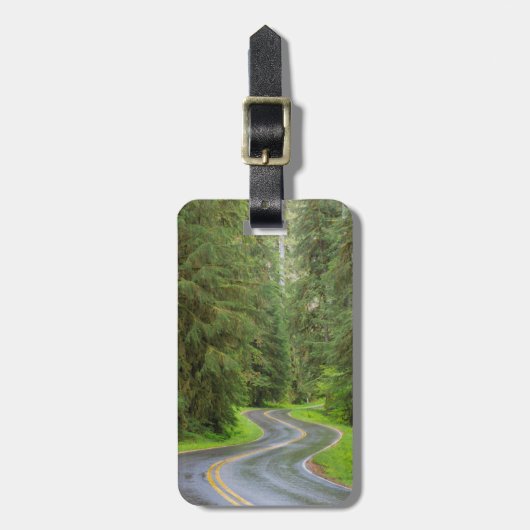 Sol Duc River Road durch Wald Gepäckanhänger (Vorderseite vertikal)