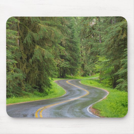 Sol Duc River Road durch Wald Mousepad (Vorne)