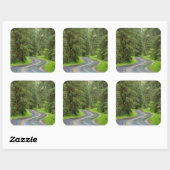 Sol Duc River Road durch Wald Quadratischer Aufkleber (Blatt)