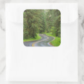 Sol Duc River Road durch Wald Quadratischer Aufkleber (Tasche)