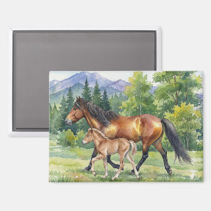 Sola Isländisches Pferd und Fohlen auf einer Bergw Magnet
