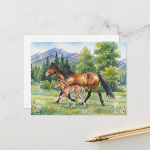 Sola Isländisches Pferd und Fohlen auf einer Bergw Postkarte
