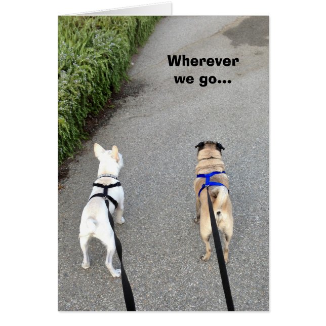 Solange wir zusammen sind (Vorne)