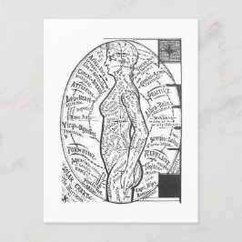 "Solar Chart: The Microcosm" Zodiac Astrologie Postkarte