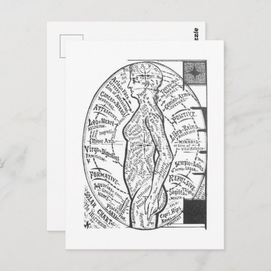 "Solar Chart: The Microcosm" Zodiac Astrologie Postkarte (Vorne/Hinten)