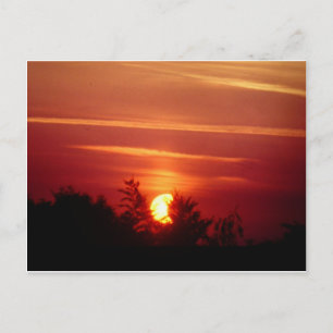 Solar-Eclipse Postkarte