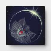 Solare CATaklyse Fotoplatte (Vorderseite)