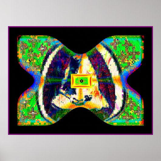 SOLARiSBUTTERFLY Poster (Vorne)