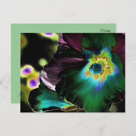 Solarisierte Hibiskus-Fotografie - Postkarte (Vorne/Hinten)