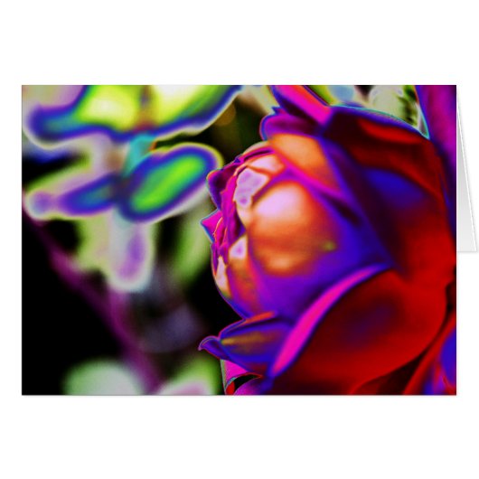 Solarisierte Rose von Shirley Taylor (Vorderseite (Horizontal))