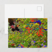 Solarisierte rote Berries, Mark Edward Westerfield Postkarte (Vorne/Hinten)