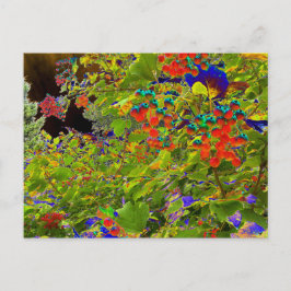 Solarisierte rote Berries, Mark Edward Westerfield Postkarte