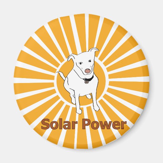 Solarmagnet Magnet (Vorne)