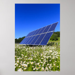 Solarpaneele Grüne Wiese Nachhaltige Energie Poster