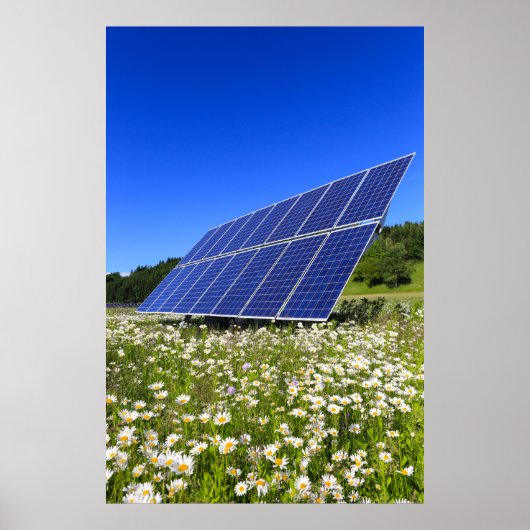 Solarpaneele Grüne Wiese Nachhaltige Energie Poster (Vorne)
