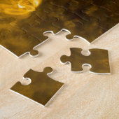 Solarplasma Puzzle (Seite)