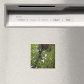 Soldat praktiziert Scharfmachertaktik Magnet (In Situ (Geschirrspüler))