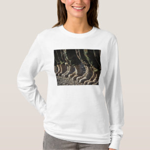 Soldaten Afghan National Army Air Corp T-Shirt