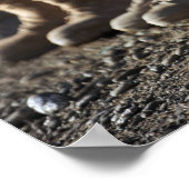 Soldaten des afghanischen Luftwaffenkorps Poster (Ecke)