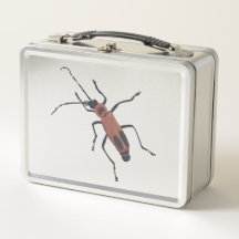 Soldatenkäfer-Malerei auf Metall-Lunchboxen