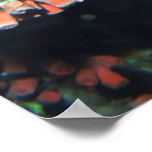 Soldfierfish im Herzen Poster (Ecke)