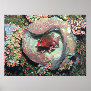 Soldfierfish im Herzen Poster