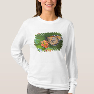 Soldier (Danaus eresimus) Schmetterling beim Fress T-Shirt