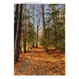 Soldotna Creek Park Herbst - 5" x 7" Kunst-Card