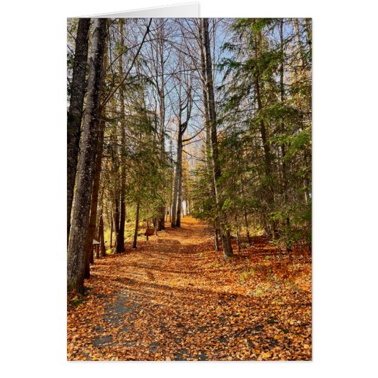 Soldotna Creek Park Herbst - 5" x 7" Kunst-Card (Vorne)