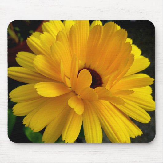 Soleil couchant! mousepad (Vorne)