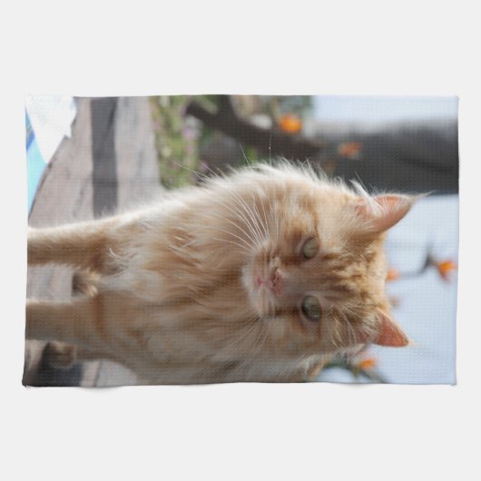 Soleil Geschirrtuch (Horizontal)