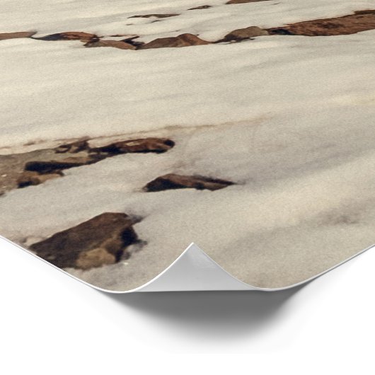 Solheimajokull, Island Poster (Ecke)