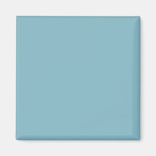 Solid Blue Pastel Tone Minimalistisch Beruflich Magnet (Vorne)