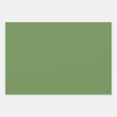 Solid Boston Farn rustikal grün Geschenkpapier Set (Vorderseite 3)