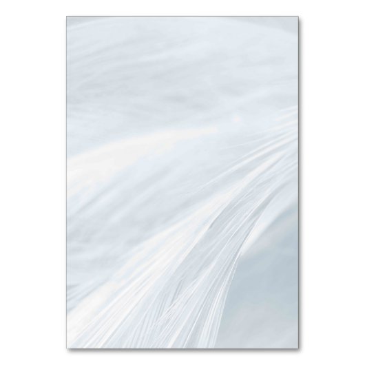 Solid Color American Tischnummer Card (Vorderseite)