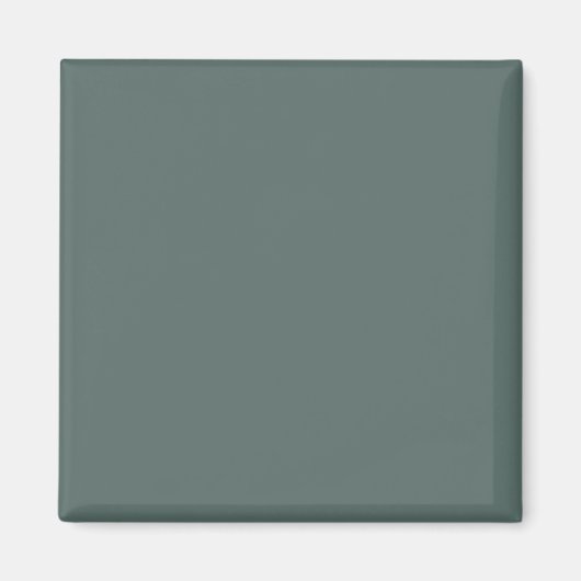 Solid Color Cool Neutral Green Undertone 2026 COTY Magnet (Vorne)