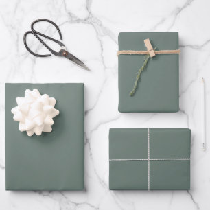Solid Color Minimalistisch Dusty Gray Sage Green Geschenkpapier Set